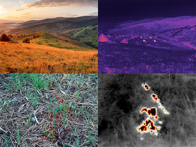 Особенности тепловизоров для охоты: что это такое и как работает - фото3