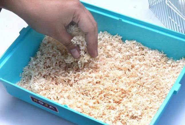 Наполнители для туалета грызунов: обзор, виды, какой лучше - фото1