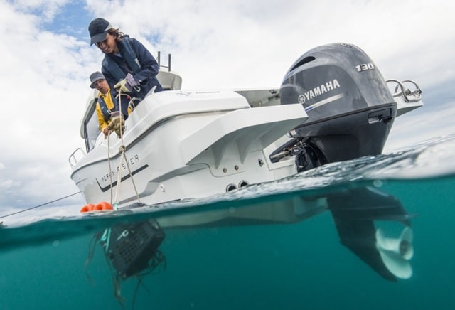 2-тактный или 4-тактный подвесной лодочный мотор: плюсы и минусы, особенности, какой выбрать и для чего - фото10