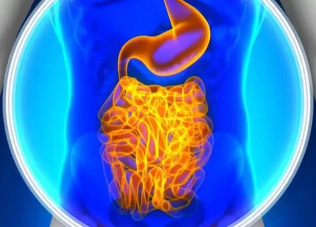 Диарея: что это такое, причины, профилактика - фото4 Диарея: что это такое, причины, профилактика - фото4