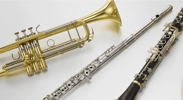 Несколько советов по покупке музыкального инструмента - фото