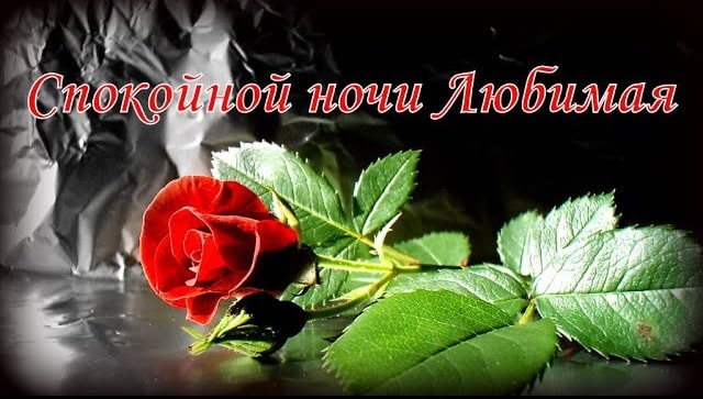 Спокойной ночи, любимая: красивые слова и романтические пожелания - фото3