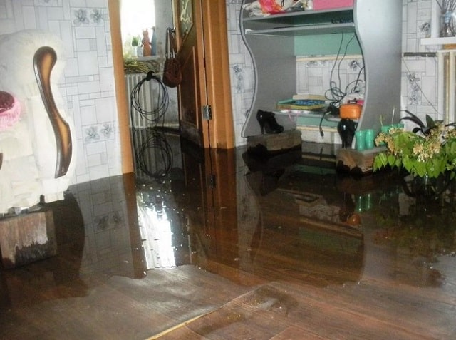 Как просушить квартиру после затопления: советы специалистов - фото2