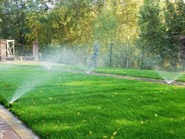 Автополив: что это такое, виды, как работает - фото1