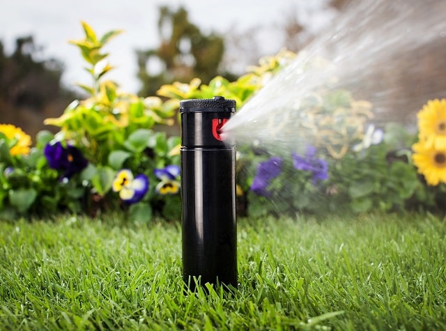 Автополив: что это такое, виды, как работает - фото2