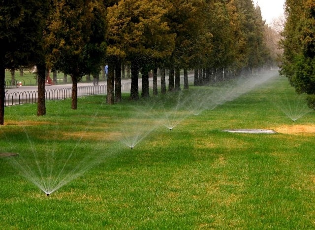 Автополив: что это такое, виды, как работает - фото3