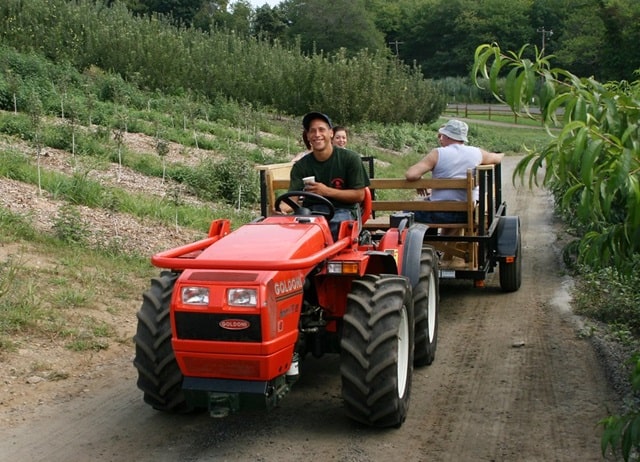 Сучасний мінітрактор: функціонал, особливості вибору та ефективного використання - фото3