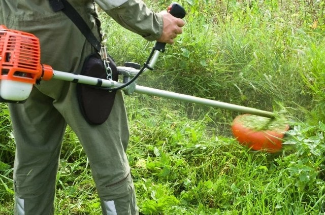 Триммер для травы: что это такое, виды, как выбрать - фото1