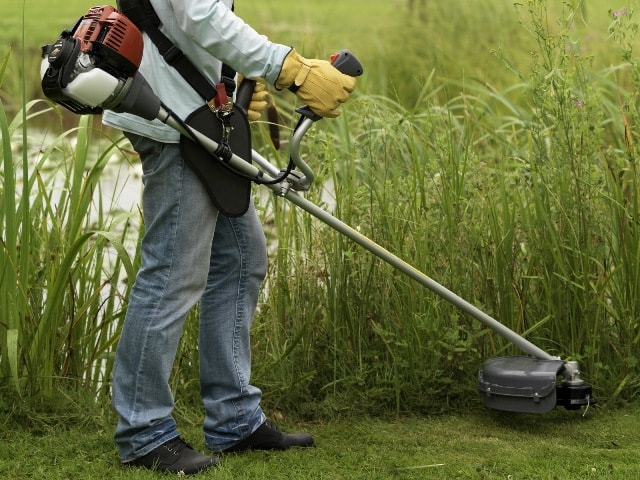 Триммер для травы: что это такое, виды, как выбрать - фото4