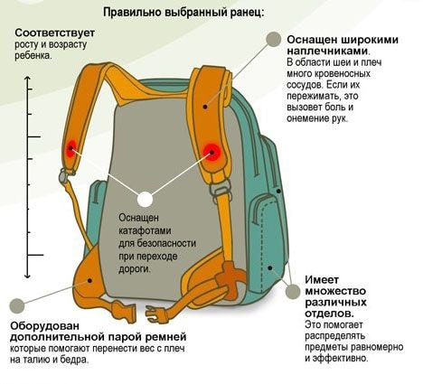 Как выбрать школьный рюкзак для первоклассника - фото4
