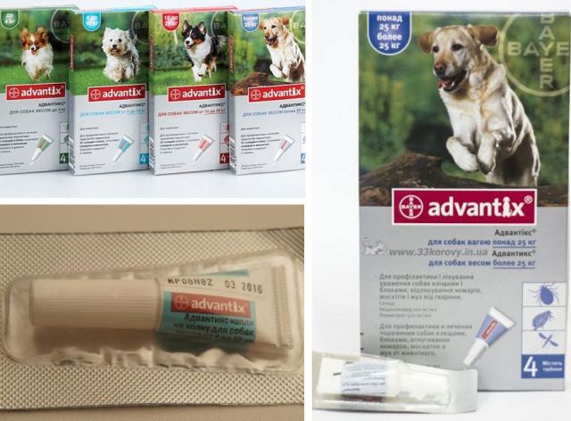 Эффективные средства от блох и клещей для собак всех пород (обзор, сравнение) - фото2