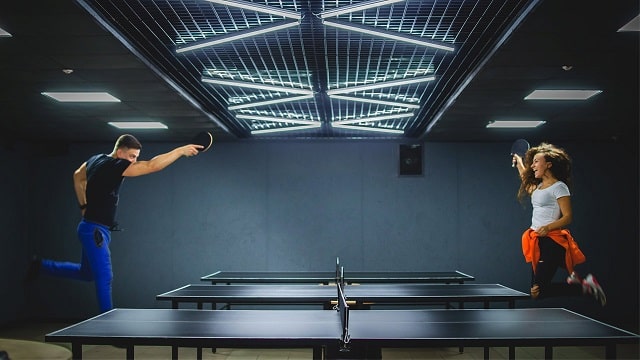 Как правильно выбрать ракетку для настольного тенниса - фото1 Как правильно выбрать ракетку для настольного тенниса - фото1