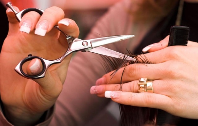 Профессиональные ножницы для стрижки: виды, отличия от обычных, как выбрать - фото1