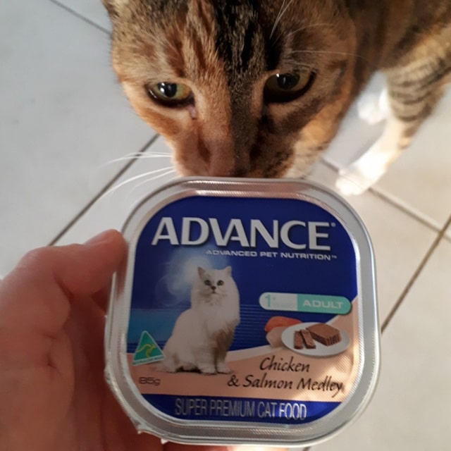 Корми для котів Advance: що за бренд, інгредієнти та асортимент, цікаві факти - фото3