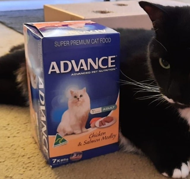 Корми для котів Advance: що за бренд, інгредієнти та асортимент, цікаві факти - фото5