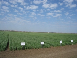 Суд вернул государственному предприятию землю