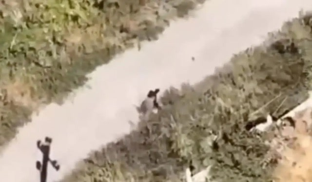 Возле пос. Удачное россиянин расстрелял мужчину, который пытался спастись от войны