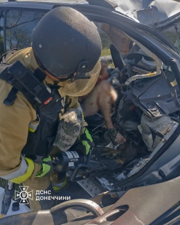 На автодороге из Краматорска в Дружковку разбился автомобиль - погиб один человек