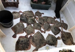 Под Мариуполем задержаны рыболовы-браконьеры