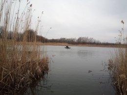 В ставке возле пос. Ольгинка нашли тело утонувшего мужчины