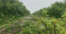 Во время вчерашней непогоды в Дружковке погиб 38-летний мужчина (фото)