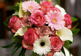 Какие цветы дарят чаще всего: идеи по оформлению букетов, варианты, советы
