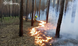 На территории Лиманской громады после обстрелов в лесу начались пожары