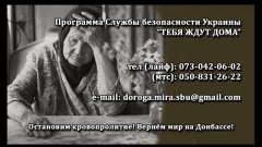 «Тебя ждут дома»: еще 1 боевик добровольно сдался СБУ (видео)