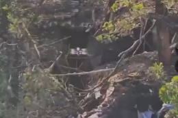 Силы обороны обнаружили в засаде оккупантов с дронами и уничтожили их