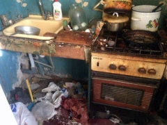 На Донетчине женщина превратила квартиру в мусорную свалку (фото)