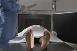 Суд оправдал подозреваемых во взятках – следствие не представило достаточных доказательств