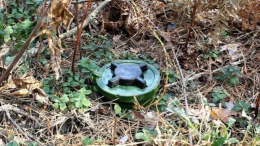 На оккупированной территории Донецкой области на мине подорвалась местная жительница