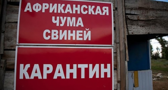 На Донетчине вспышка АЧС