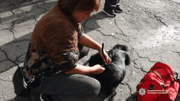 Из Константиновки эвакуировали семью с подростком и домашними питомцами