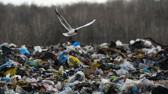 В Дружковске ищут подрядчика для ликвидации стихийных свалок