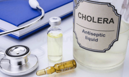 В оккупированном Мариуполе обнаружена холера