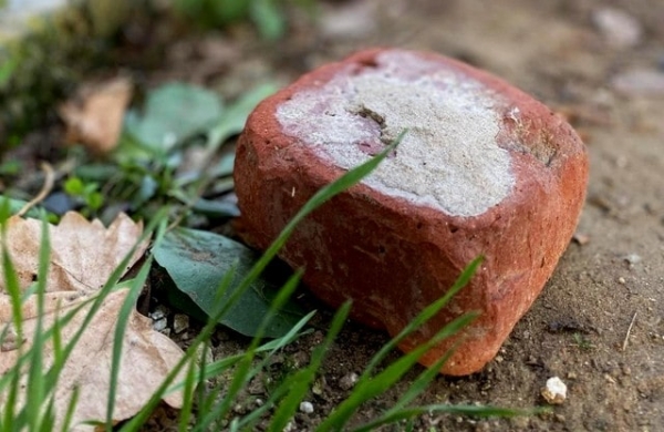 В Дружковке на глазах у сына мужчина до смерти избил свою жену