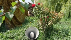 «Бодрого утра!» - бойцы ВСУ намерены будить боевиков гимном Украины