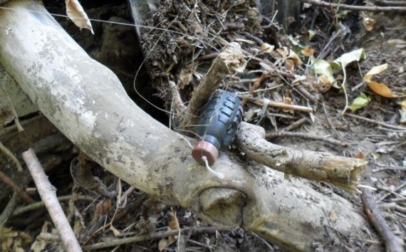 Житель Донецка подорвался на растяжке