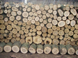 Жительница Волновахского района стала жертвой интернет-мошенников – «купила» дрова