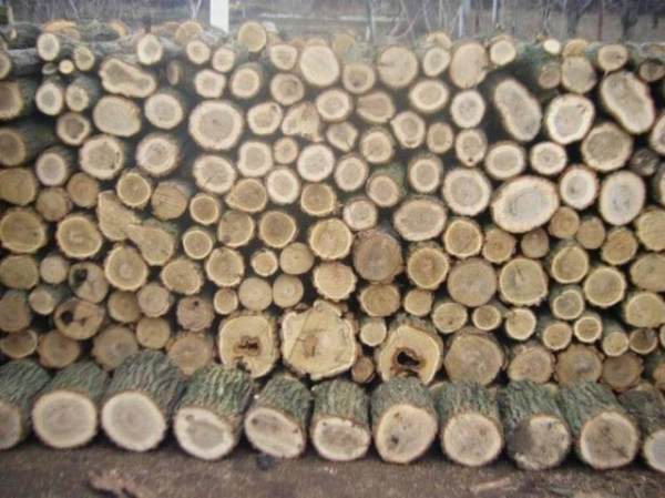 Жительница Волновахского района стала жертвой интернет-мошенников – «купила» дрова