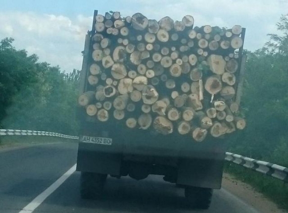 Боевики «ДНР» уничтожают леса в ОРДО (фото)