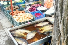 В оккупированном Донецке гоняют нелегальных торгашей