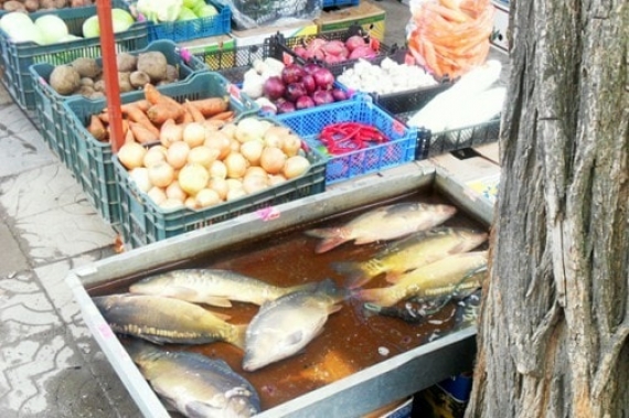 В оккупированном Донецке гоняют нелегальных торгашей