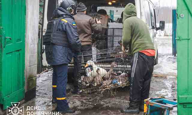 Из села Новокриворожье эвакуирована последняя жительница