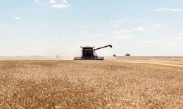 На Донетчине выросли объемы растениеводства