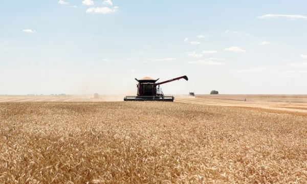 На Донетчине выросли объемы растениеводства