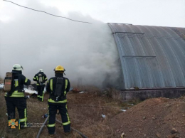 В Мариупольском районе произошел большой пожар – его тушили 12 часов