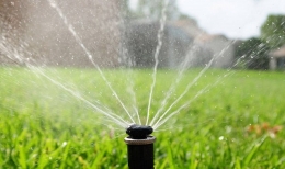 Автополив: что это такое, виды, как работает