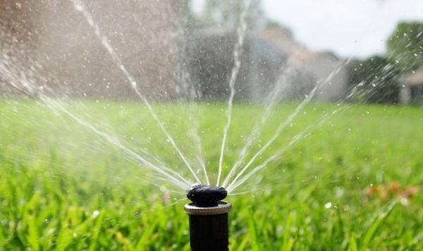 Автополив: что это такое, виды, как работает